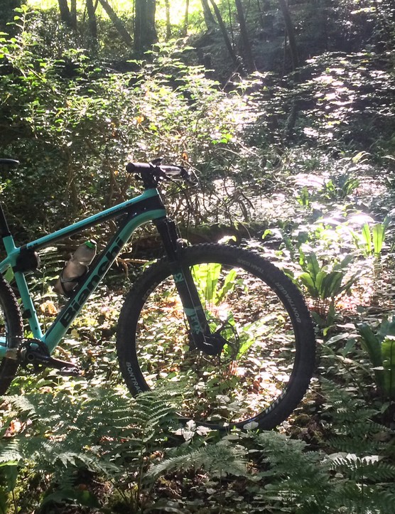 Bicicleta de montaña hightail en bosques