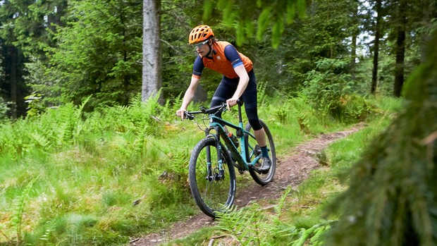 Ciclistas masculinos cabalgando por bosques boscosos